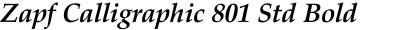 Zapf Calligraphic 801 Std Bold Italic